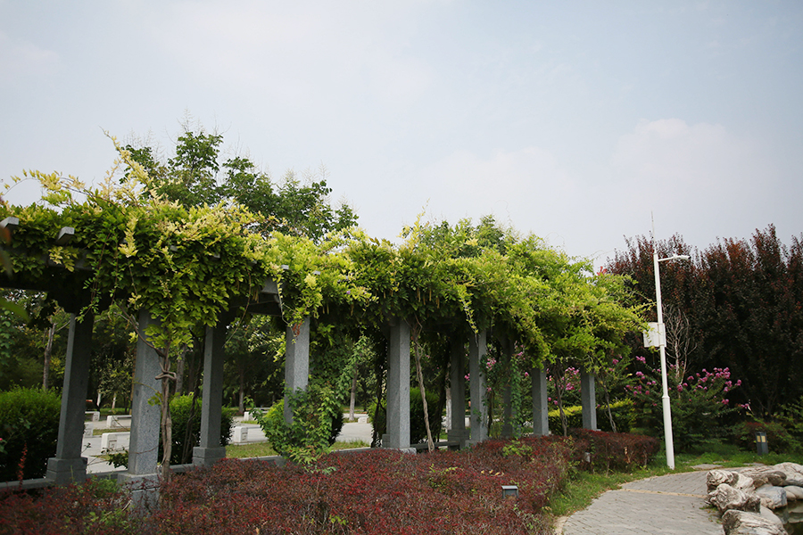 environment